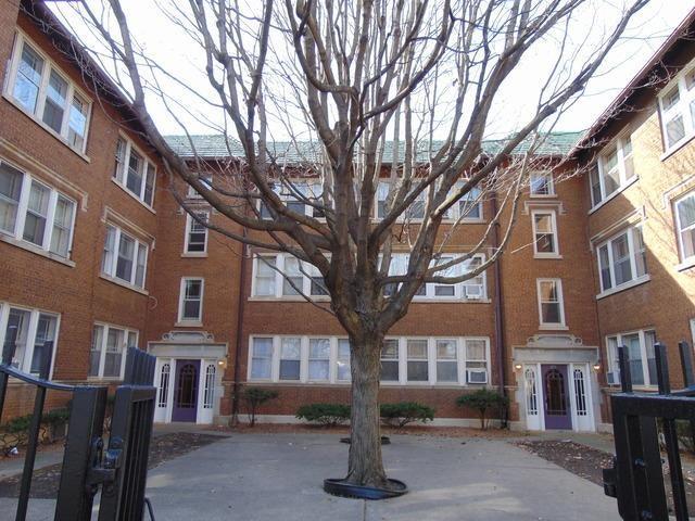 Building Court Yard - 255 Wilcox St