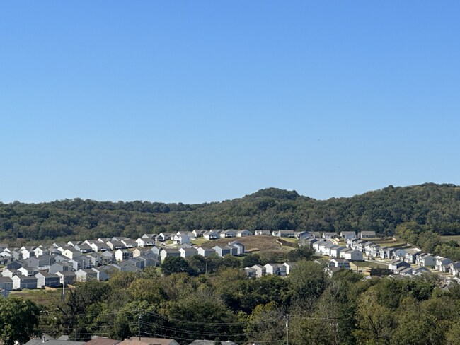 Building Photo - 4525 Skywood Ln