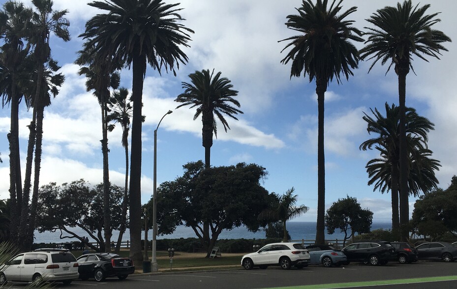 Park/Ocean view - 833 Ocean Ave