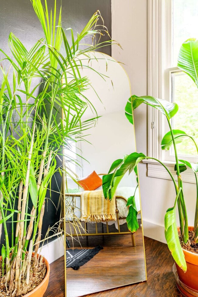 Building Photo - 241 W Water St