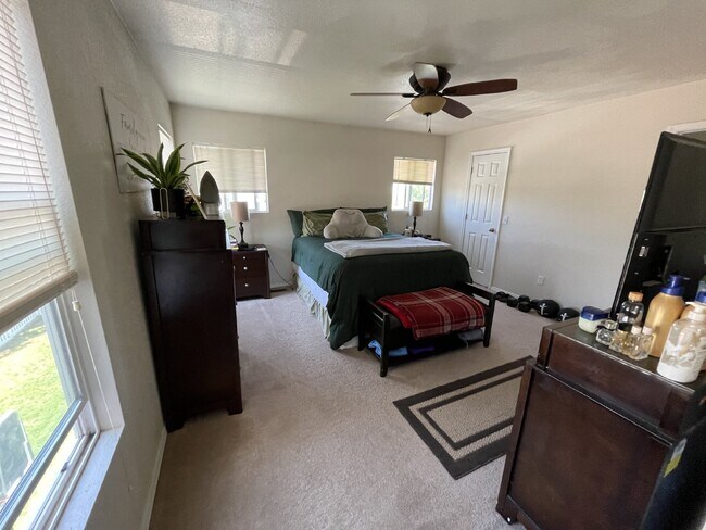 Building Photo - 3 bedroom - Menagerie