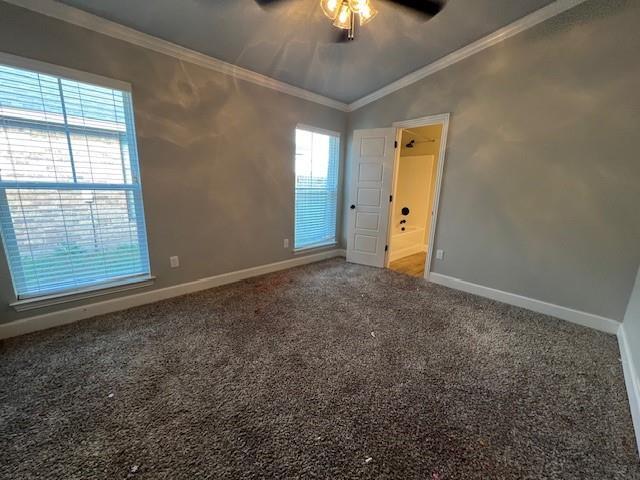 Building Photo - 3933 Carrera Ln