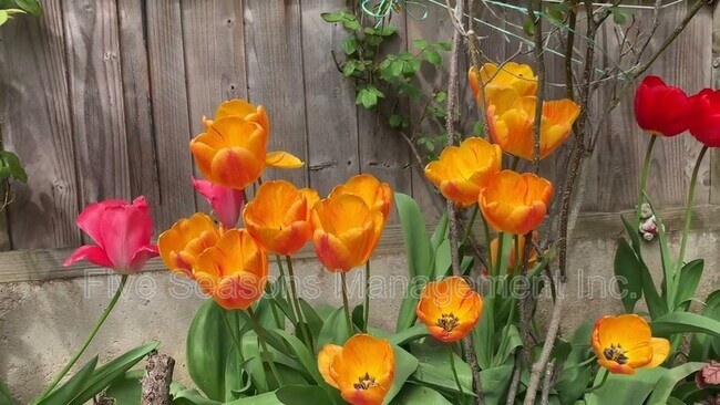 Building Photo - 55 Greene St