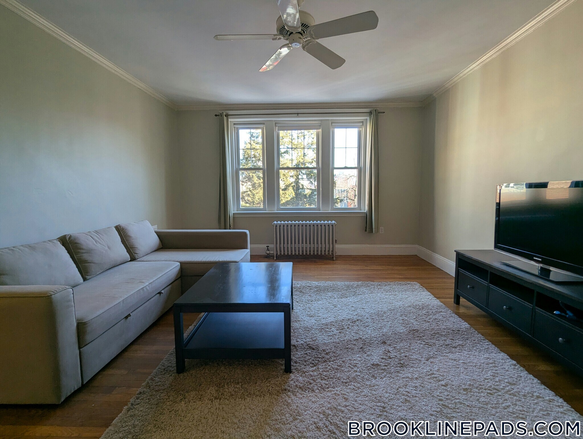 Building Photo - 52 Babcock St