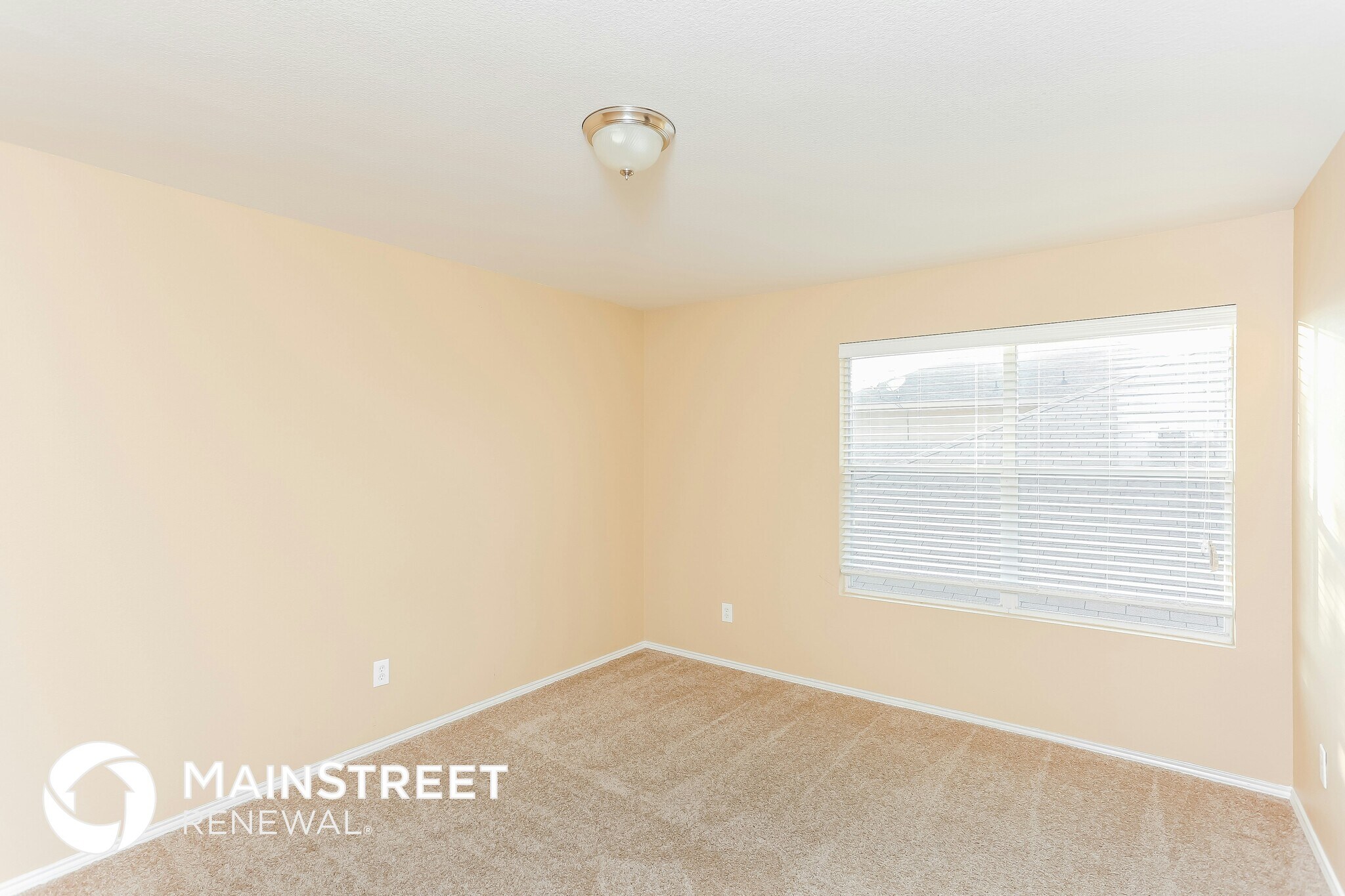 Building Photo - 113 Franklin Ct