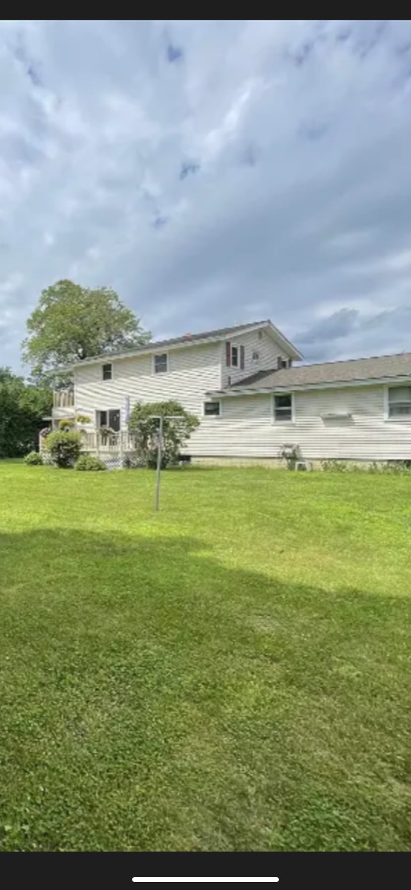 Backyard - 10 Richard St