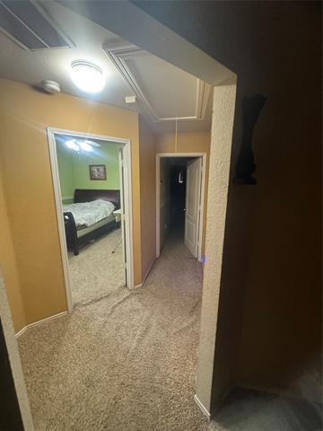 Building Photo - 503 Hawken Dr