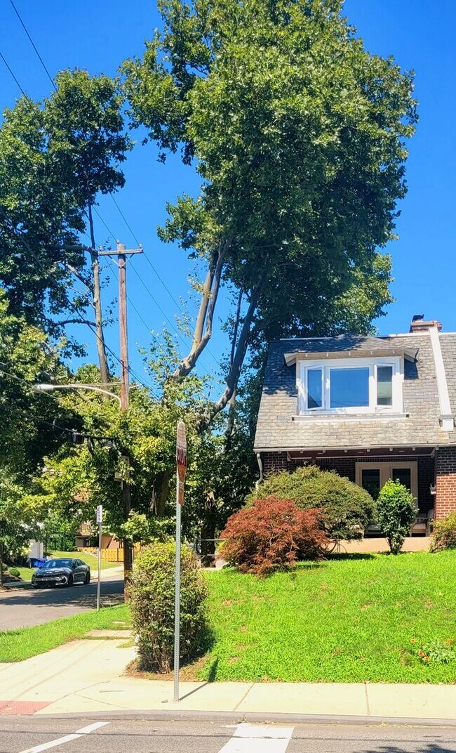 Building Photo - Newly Renovated Mt. Airy Corner Home — Hig...