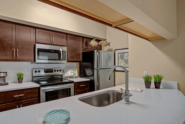 Stainless Steel Appliances - Arbors at Wolf Pen Creek Apartments