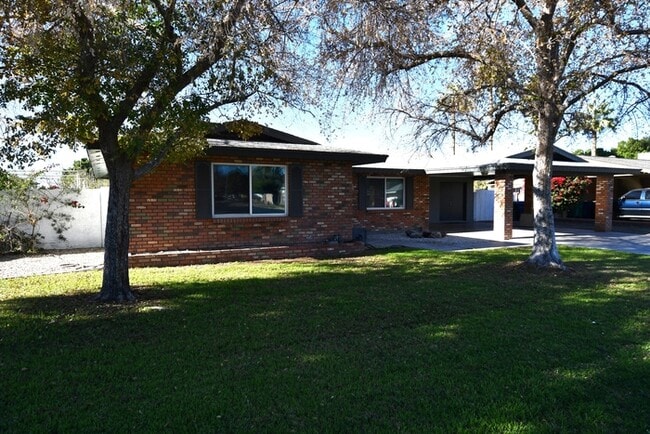 Primary Photo - Mesa Gem with a large yard, storage and fr...