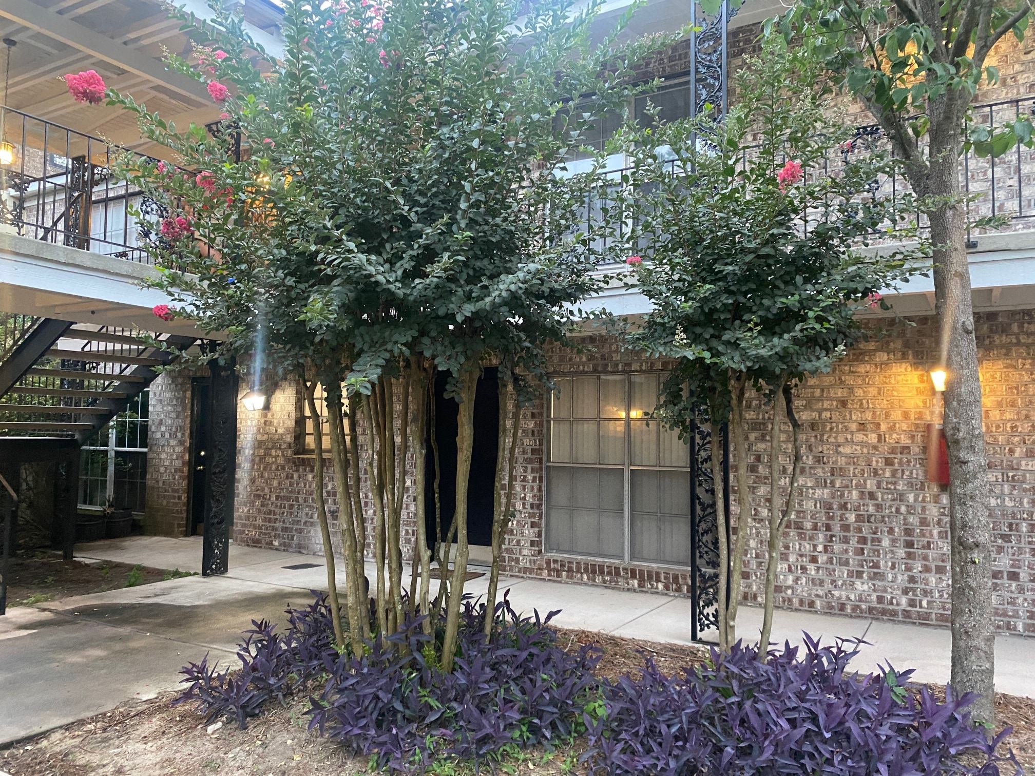 Building Photo - 811 Colony Dr