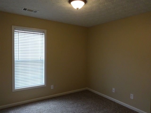 Building Photo - 3230 Sonata Ln