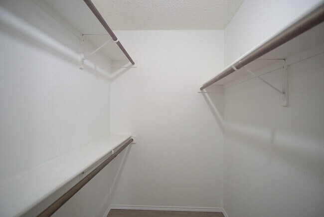 Building Photo - 2089 Paint Pony Ln