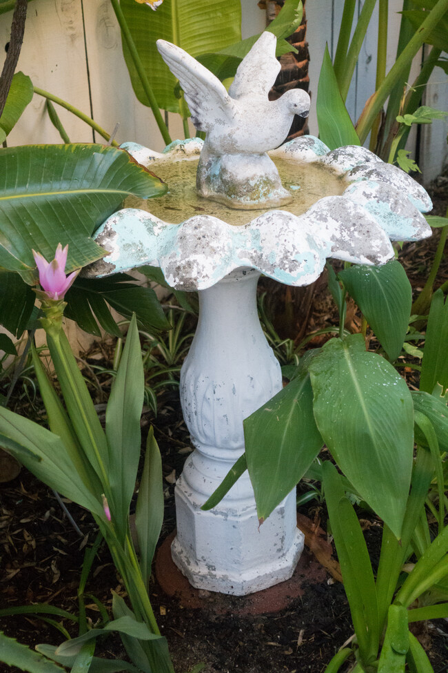 Bird bath in the private garden - 21 Woodswallow Ln