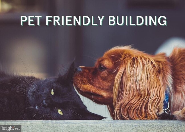 Building Photo - 1830 11th St NW