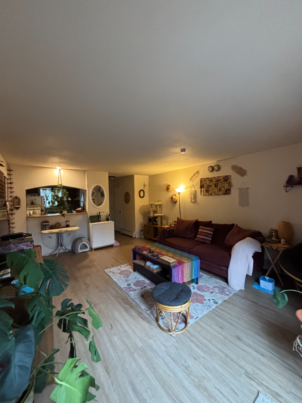 Primary Photo - 403 E Thunderbird Dr