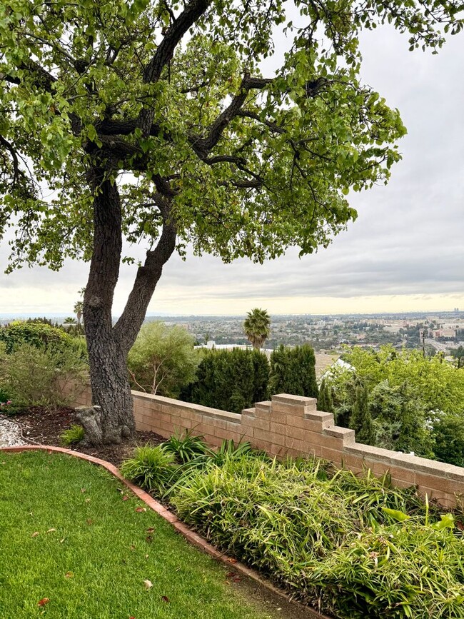 Building Photo - Million Dollar Views in Del Cerro