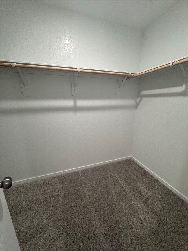 Building Photo - 3088 Fantasy Ter Dr