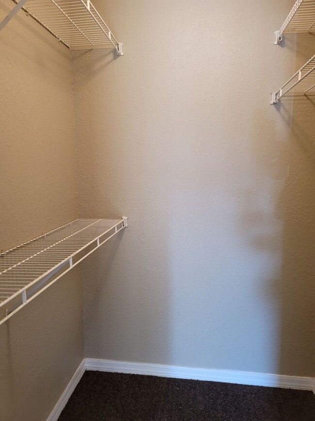 Building Photo - Large Sunridge Palms townhome across from USF!