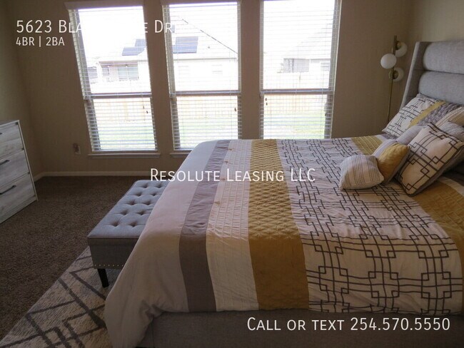 Building Photo - 5623 Blackstone Dr
