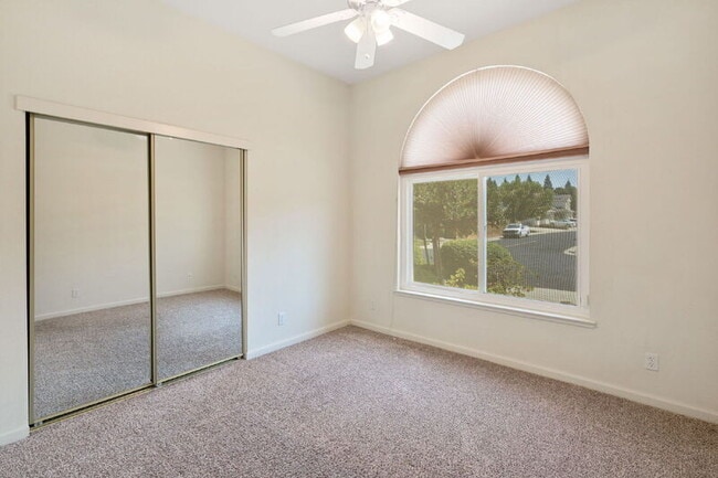 Building Photo - 2347 Amber Falls Dr