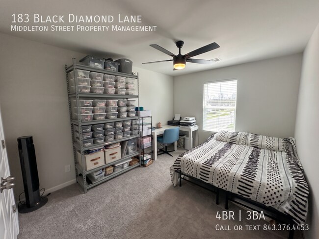 Building Photo - 183 Black Diamond Ln