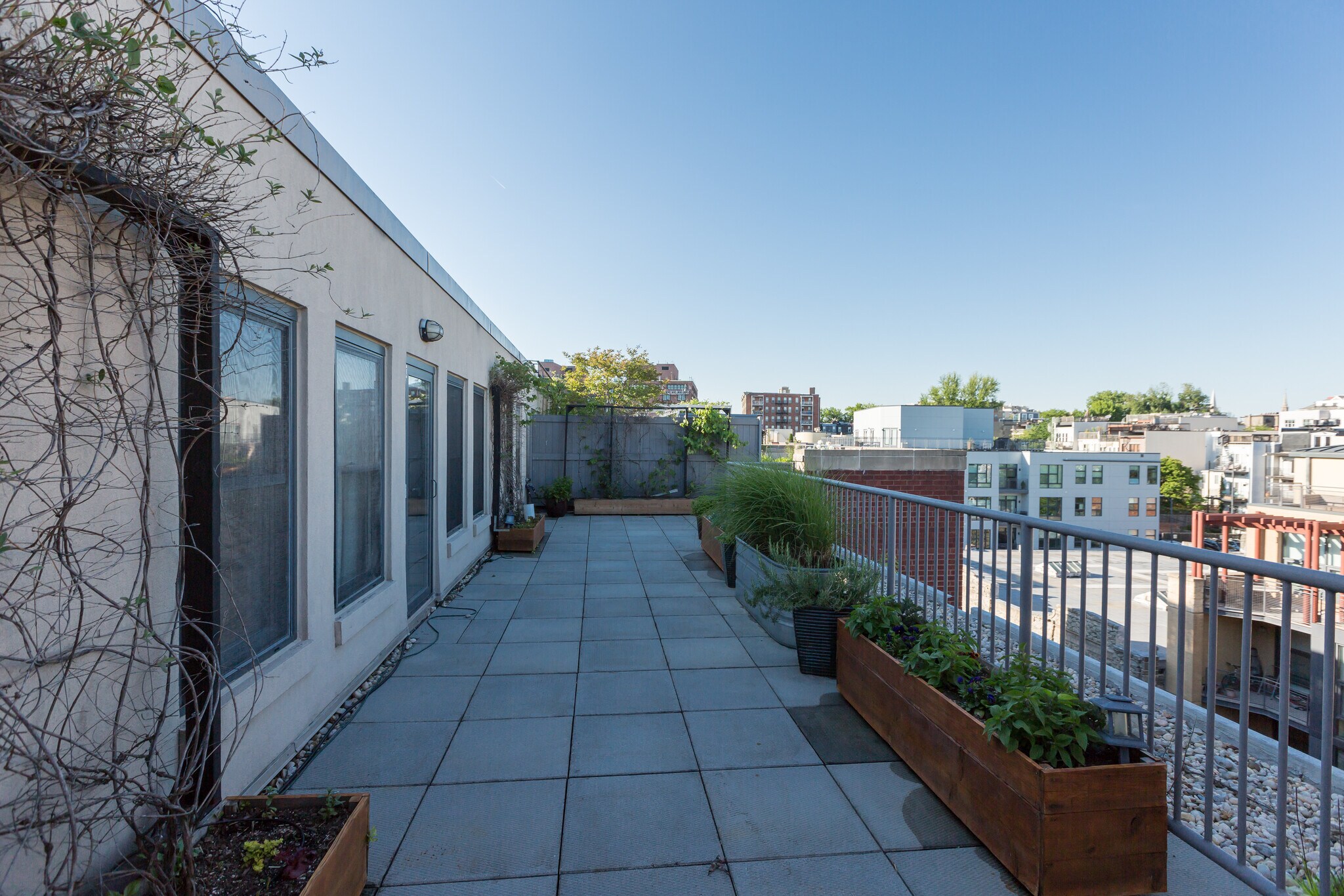 Private rooftop - 2328 Champlain St NW