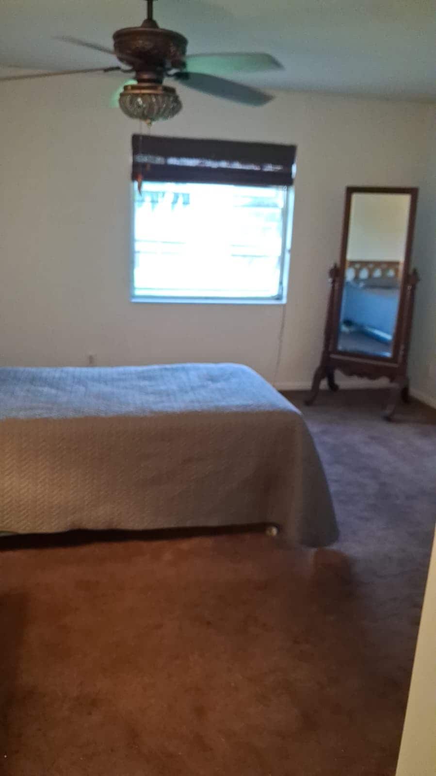 Building Photo - 2381 Papaya Dr