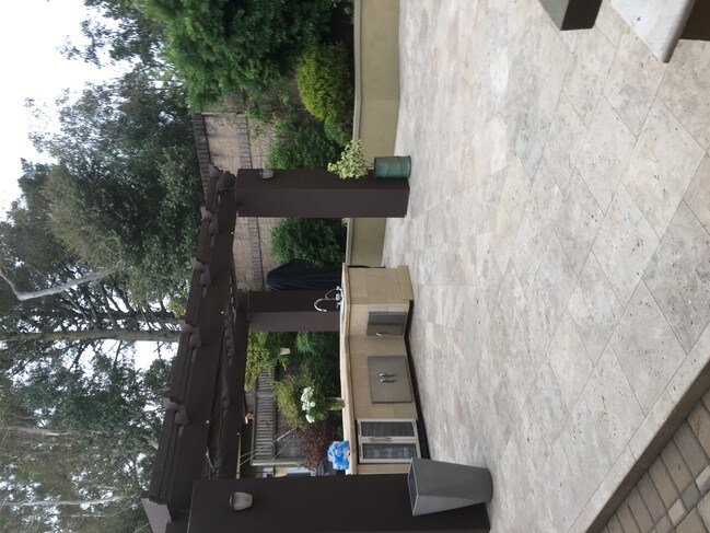 Backyard - 1009 Sycamore Dr