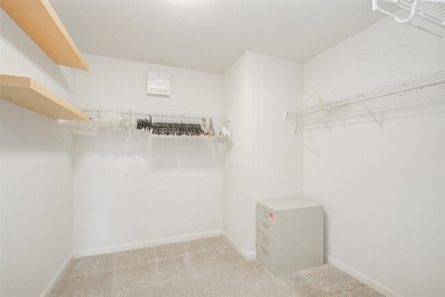 Building Photo - 8542 Village Rose Ln