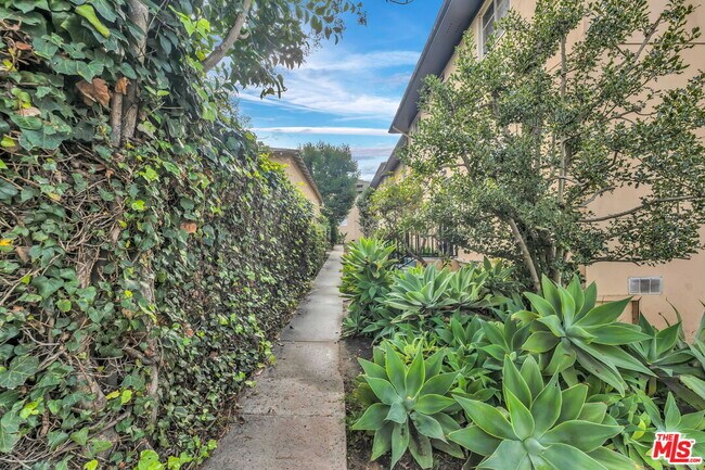 Building Photo - 4121 Santo Tomas Dr