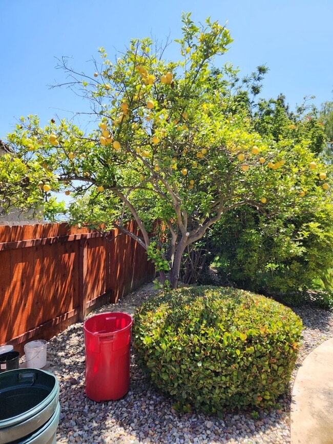 Building Photo - Large 3 bedroom home in quiet cul-de-sac with large backyard - Pets allowed