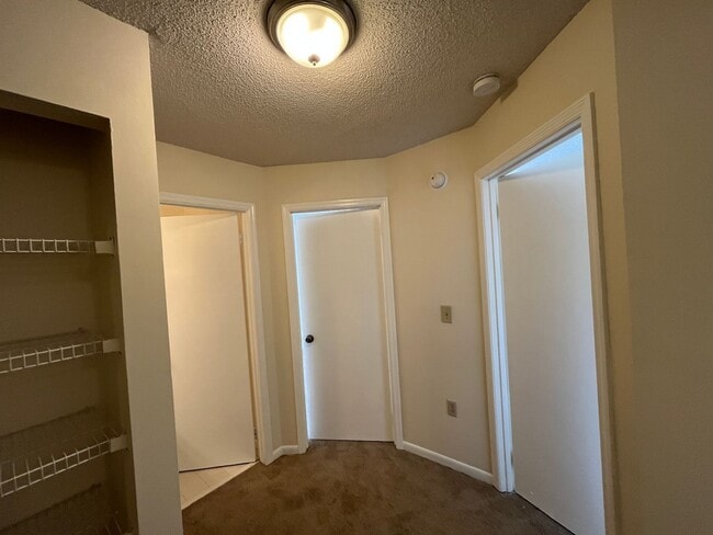 Building Photo - 135 Olive Tree Cir