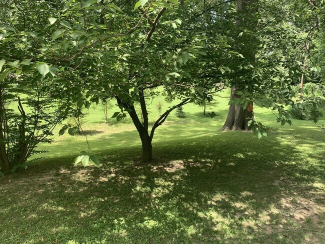 Building Photo - 8327 Lonkar