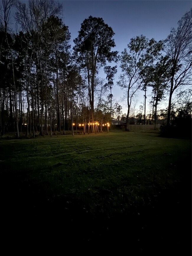 Building Photo - 2914 Roman Forest Blvd