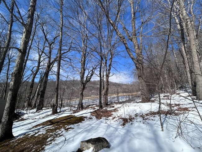 Building Photo - Cute Garage Apt and Cozy Living with a Front-Deck View