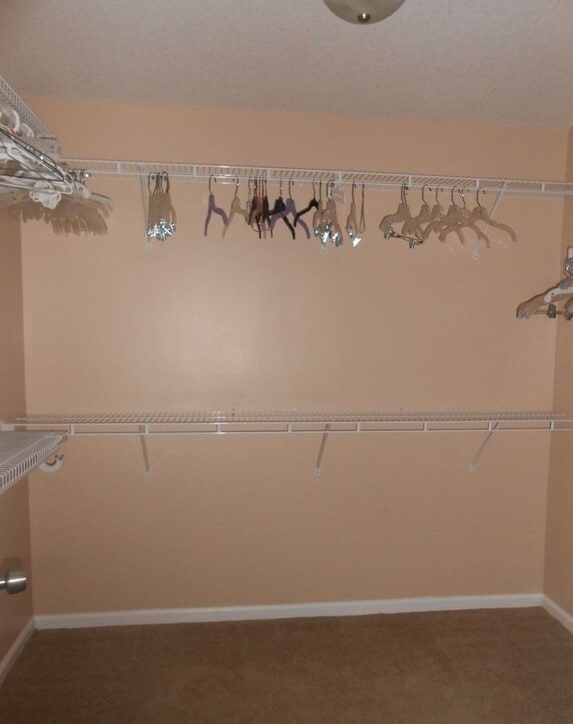 Building Photo - Charming 3BR/2BA Rental Home near Moody AFB with Spacious Interior and Private Backyard Oasis wit...