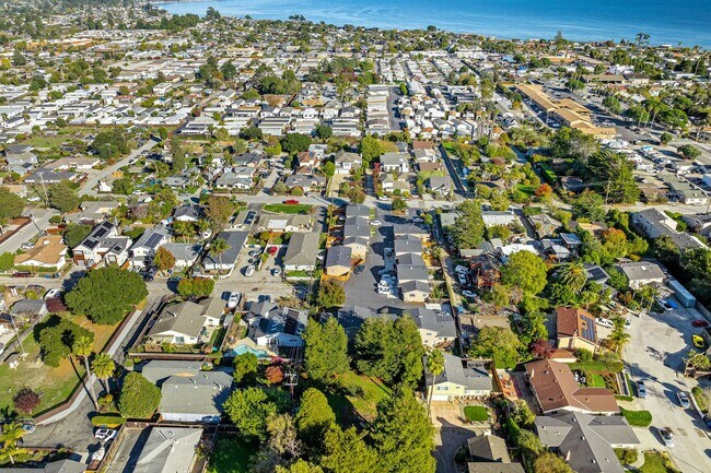 Building Photo - Bright & Beautiful 2BR Apartment Near Plea...