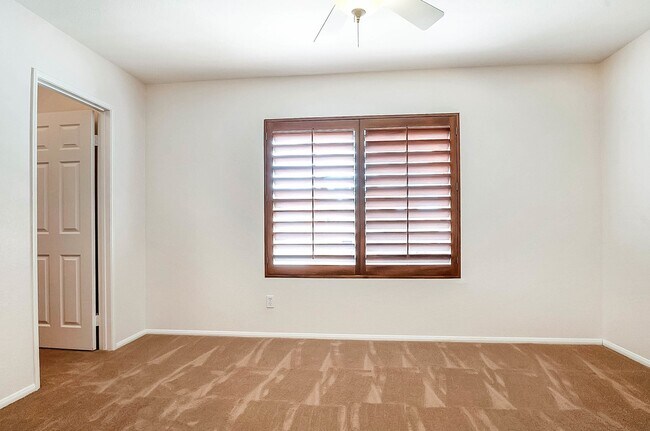 Building Photo - Modern 5 Bedroom in Paseo Del Sol