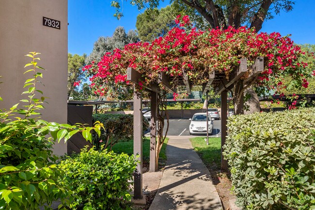 Building Photo - 7932 Mission Center Ct