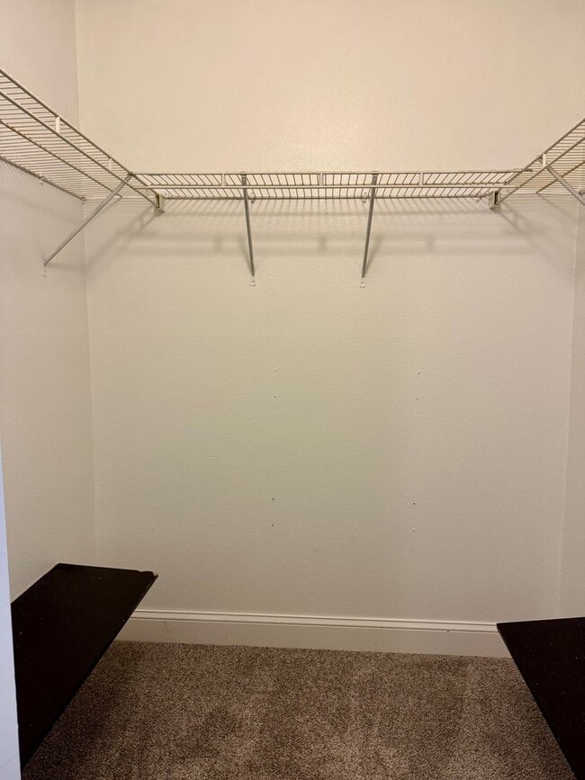 Building Photo - 2/1 Condo in South Tampa