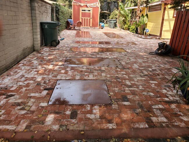 Back Driveway - 741 Elmira St