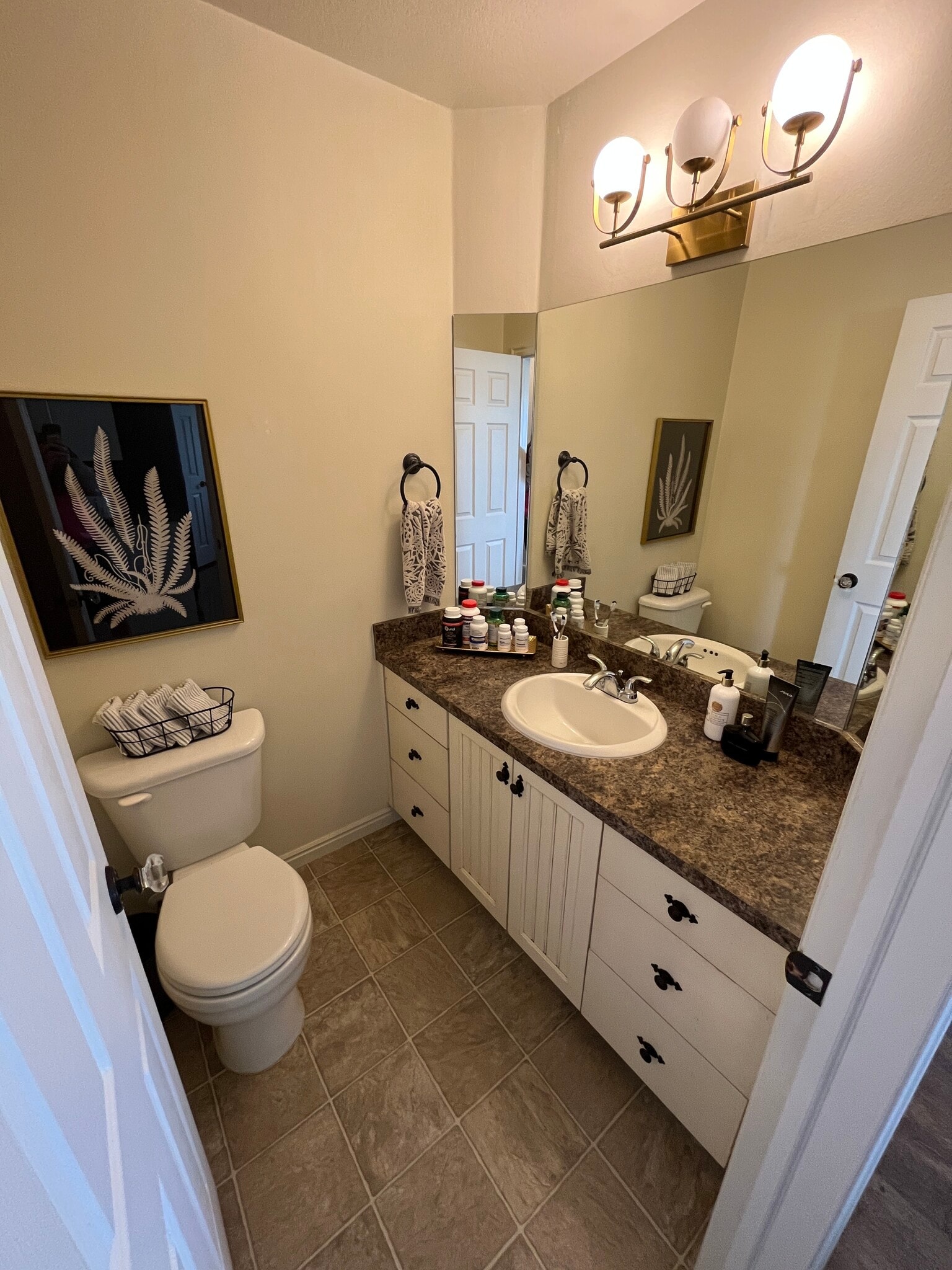 Main Floor Half Bath - 3610 W Plymouth Rock Cv