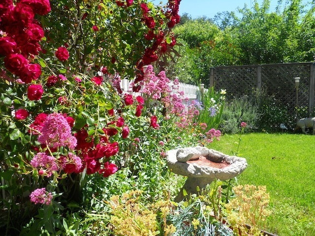 Building Photo - Charming 2 Bedroom Cottage in the Heart of Downtown Paso Robles! AVAILABLE July 1st, 2026 **DO NO...