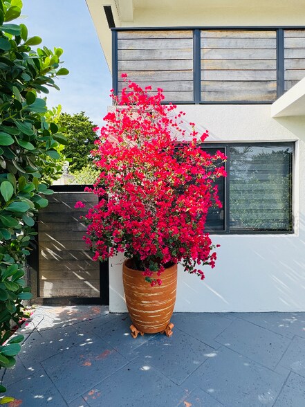 Building Photo - 394 Tamiami Canal Rd