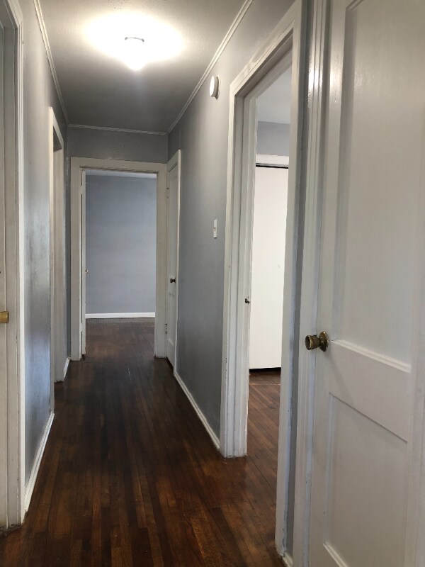 Building Photo - 1425 Daytona Dr