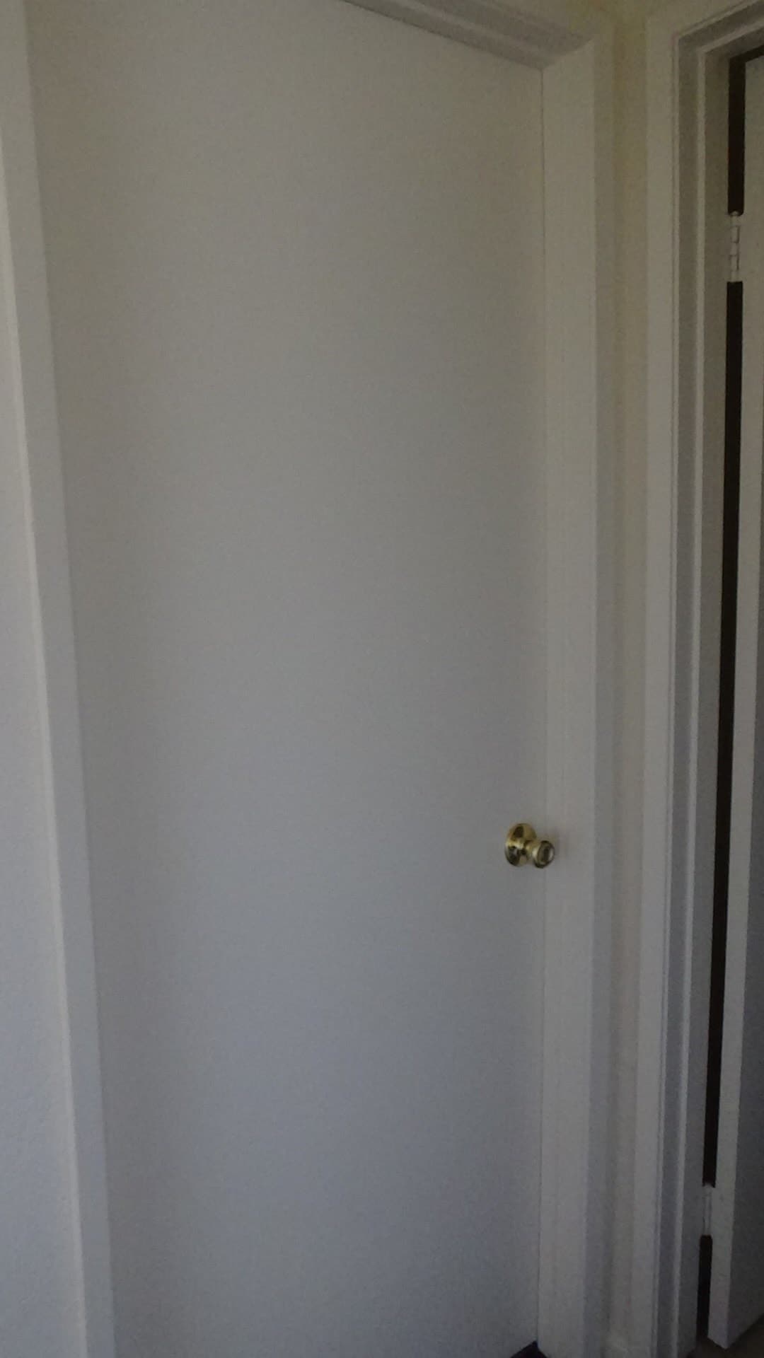 Bedroom 2 - 721 Summerwood Ln