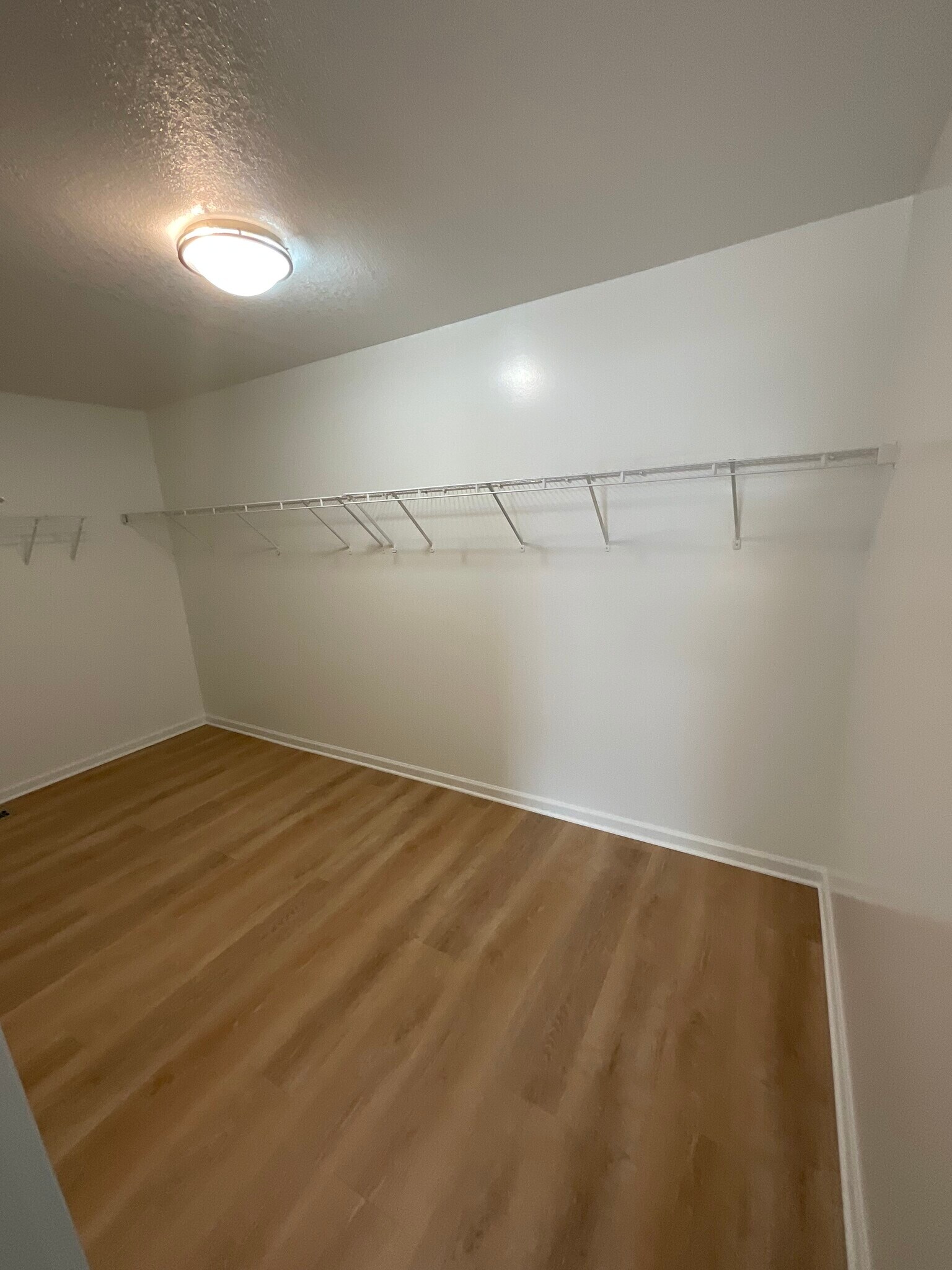 Building Photo - 28957 Cullen Dr