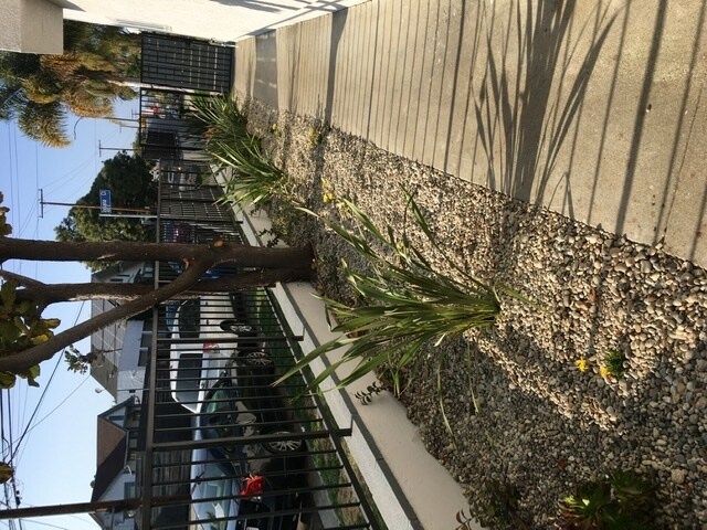 Building Photo - 405 Brooks Ave