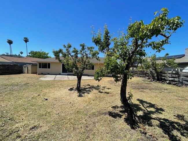Building Photo - 2530 Tamarisk Dr